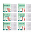 Xunix Herbal Detox Foot Pads – 60 Pieces